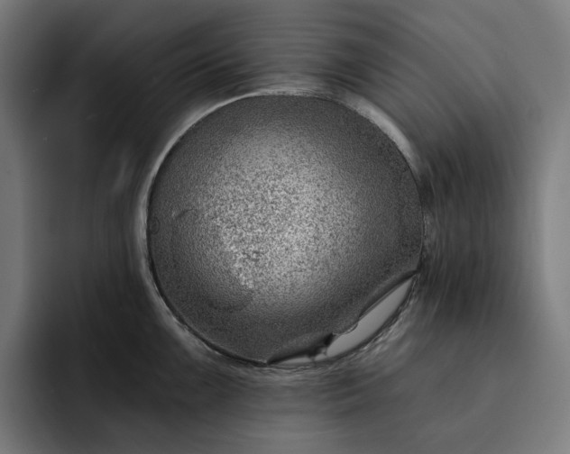 X0000093261099200710101454