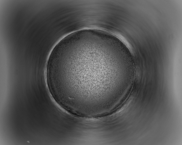 X0000093261100200710101454