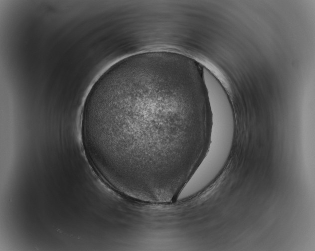 X0000093261102200710101454