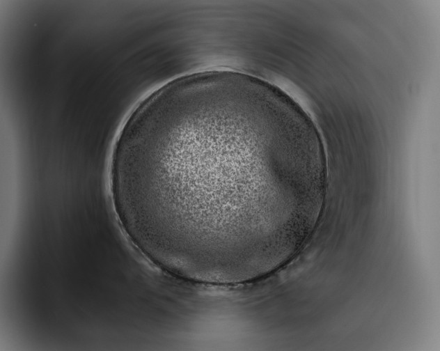 X0000093261104200710101454