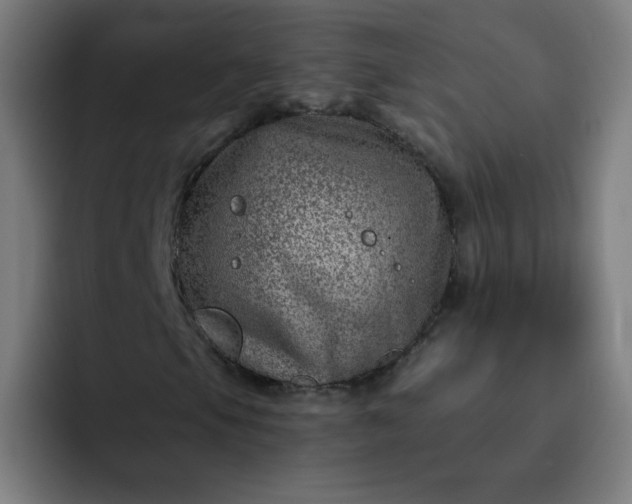 X0000093261105200710101454