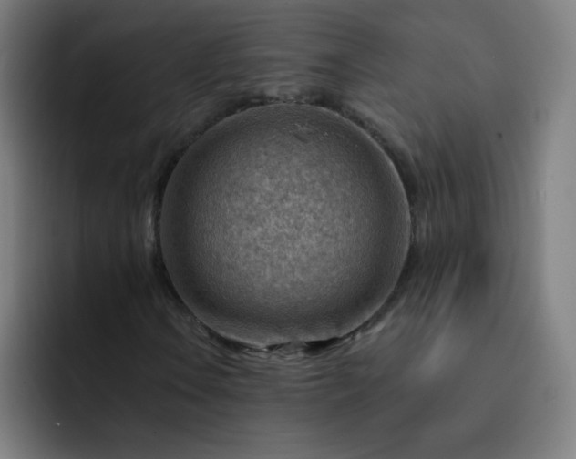 X0000093261106200710101454