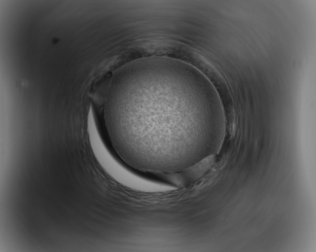 X0000093261108200710101454