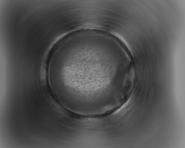 X0000093261115200710101454