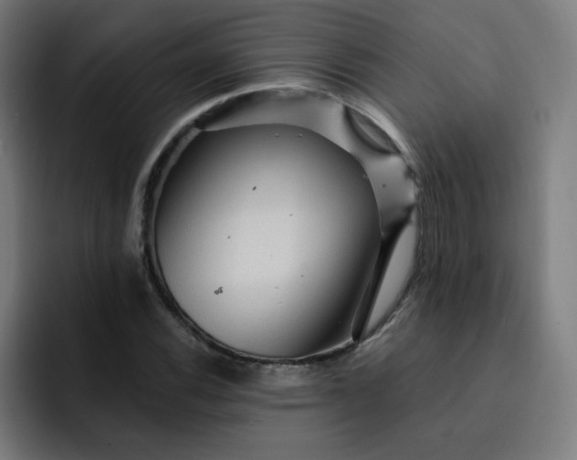 X0000093261116200710101454