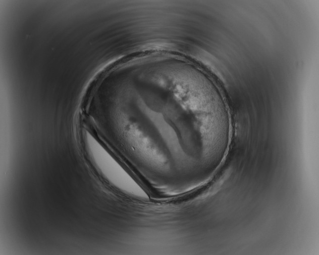 X0000093261117200710101454