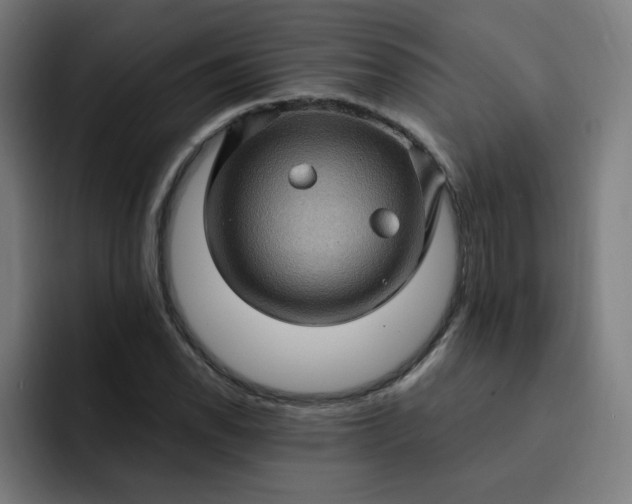 X0000093261118200710101454