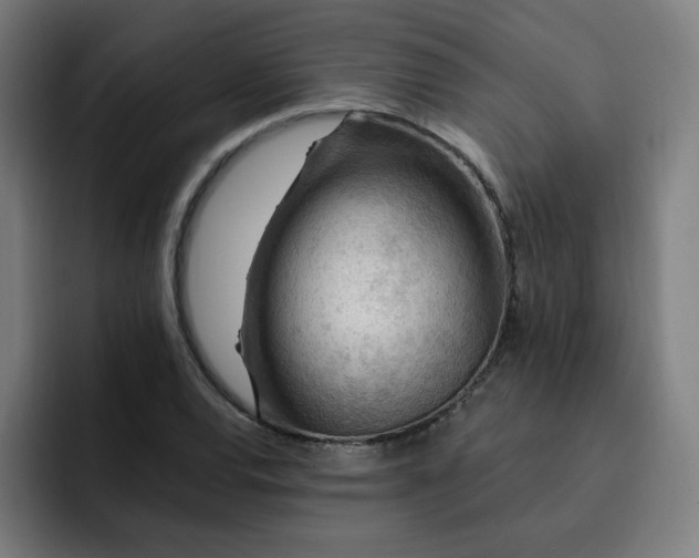 X0000093261120200710101454