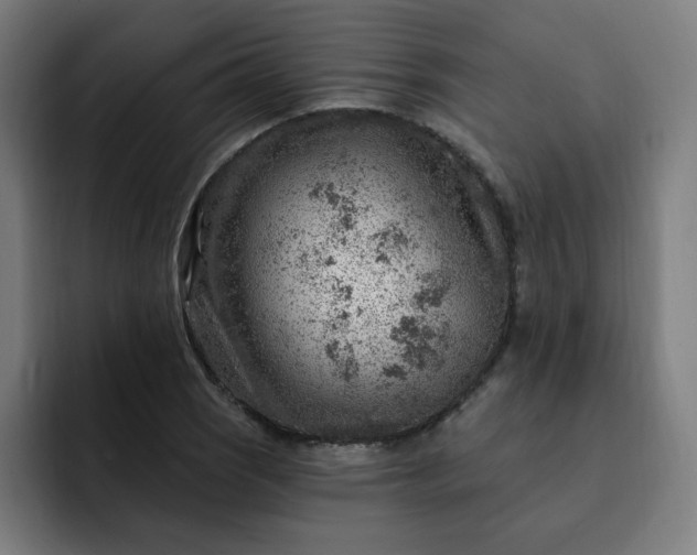 X0000093261121200710101454