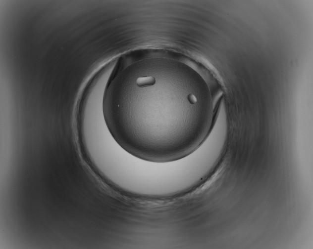 X0000093261122200710101454