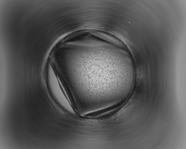 X0000093261123200710101454