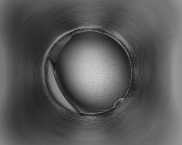 X0000093261124200710101454