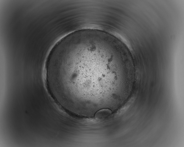 X0000093261125200710101454