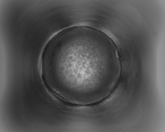 X0000093261127200710101454