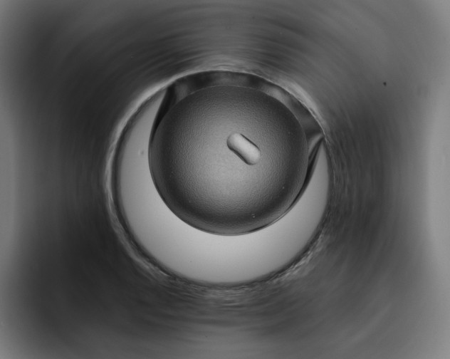 X0000093261128200710101454