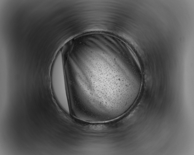 X0000093261129200710101454