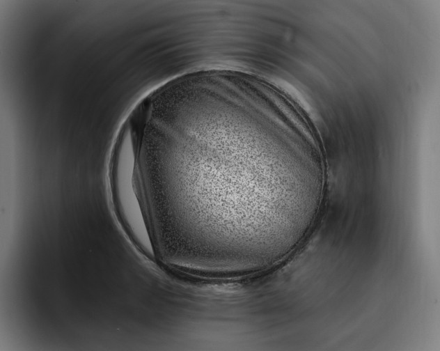 X0000093261133200710101454