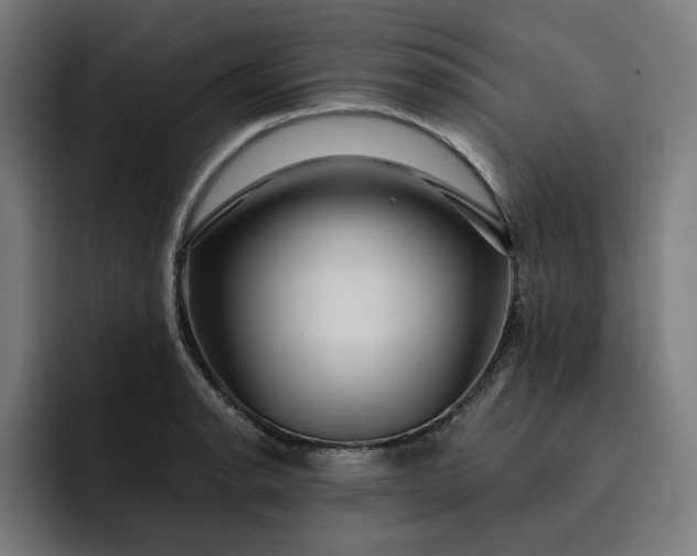 X0000093261134200710101454