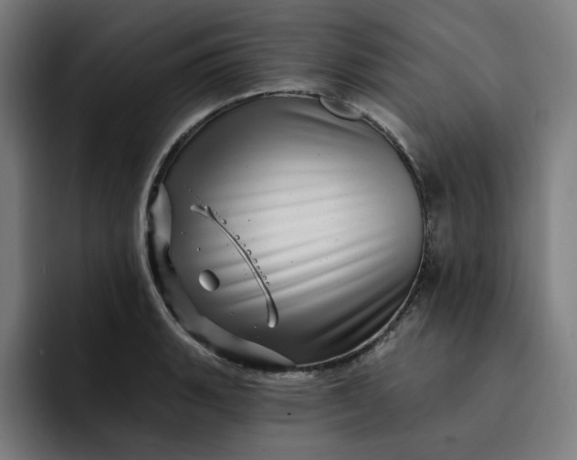 X0000093261135200710101454