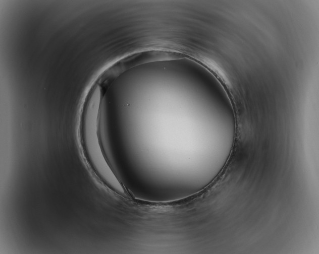 X0000093261136200710101454