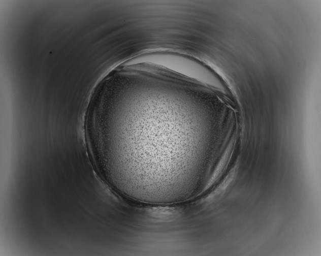 X0000093261137200710101454