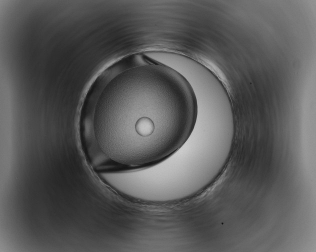 X0000093261138200710101454