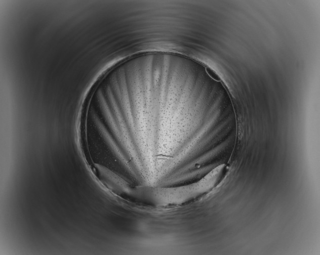 X0000093261139200710101454