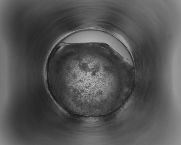 X0000093261141200710101454