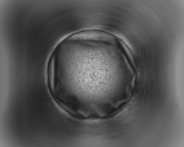 X0000093261143200710101454