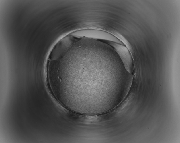 X0000093261144200710101454