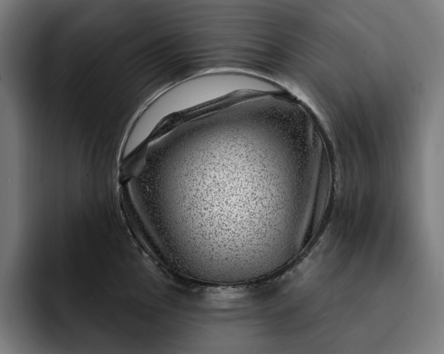 X0000093261145200710101454