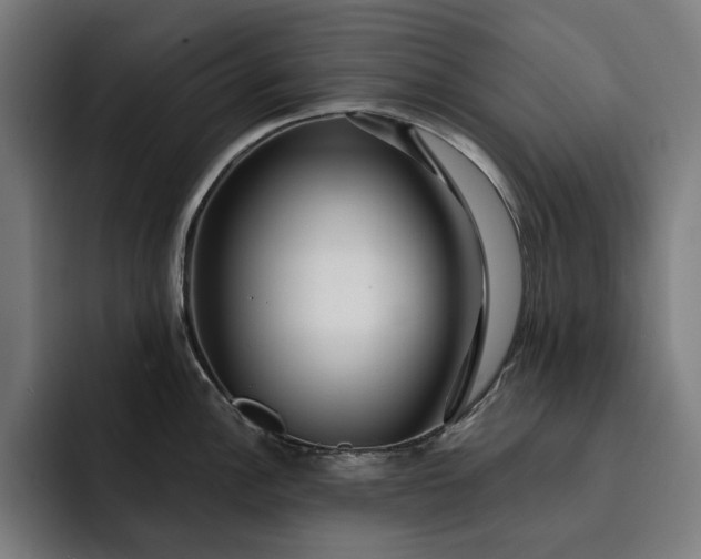 X0000093261148200710101454