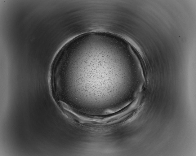 X0000093261149200710101454