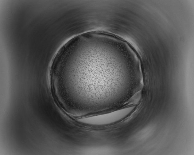 X0000093261151200710101454