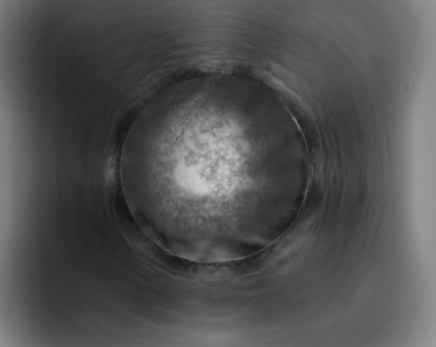 X0000093261154200710101454