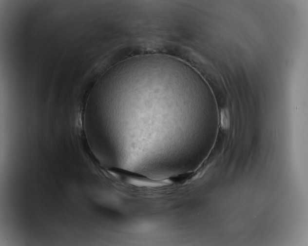 X0000093261155200710101454