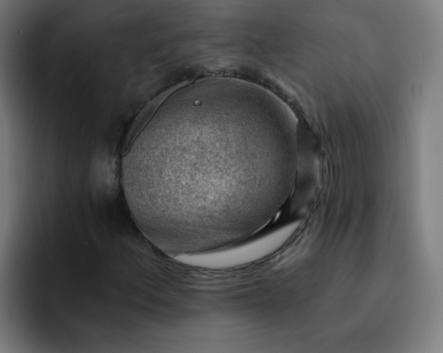 X0000093261156200710101454