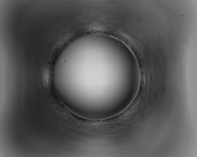 X0000093261157200710101454