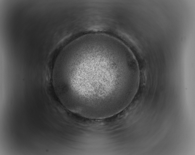 X0000093261158200710101454