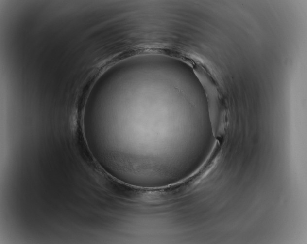 X0000093261161200710101454