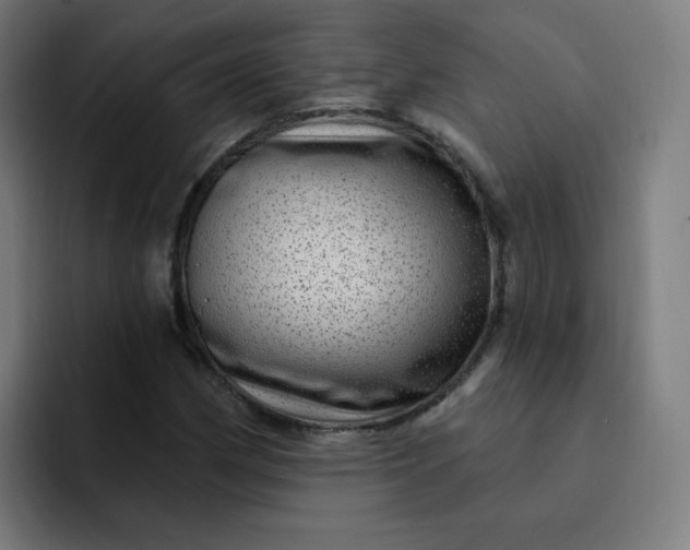 X0000093261162200710101454