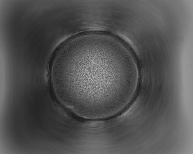 X0000093261163200710101454