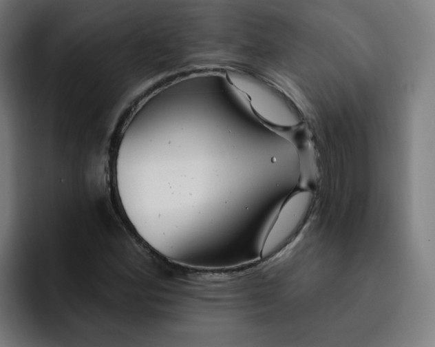 X0000093261164200710101453