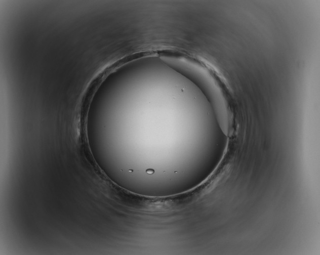 X0000093261165200710101453