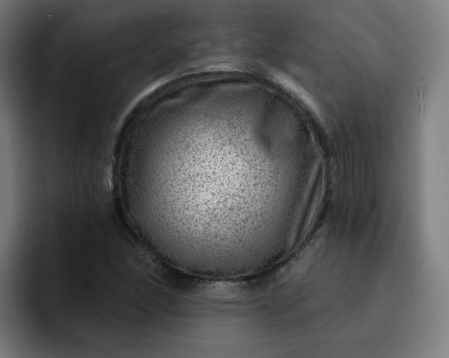 X0000093261166200710101453