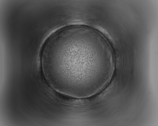 X0000093261167200710101453