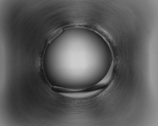 X0000093261169200710101453