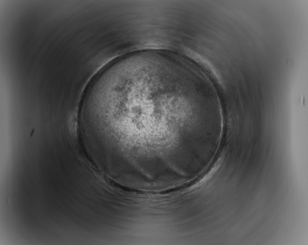 X0000093261170200710101453