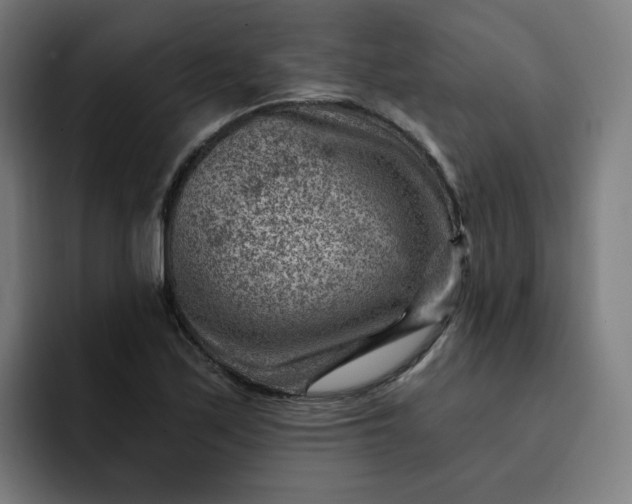 X0000093261171200710101453