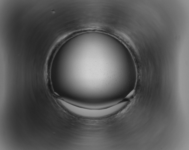 X0000093261172200710101453